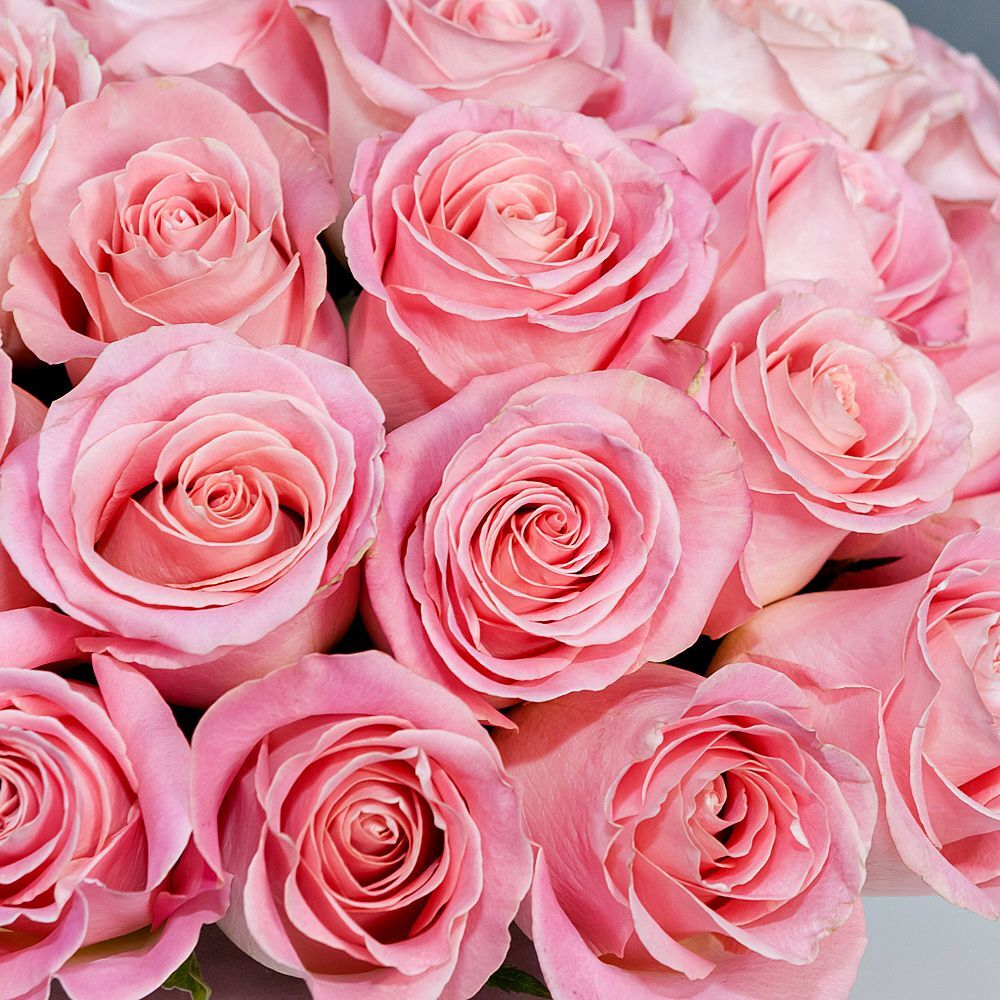 Hat Box of Classic Pink Roses