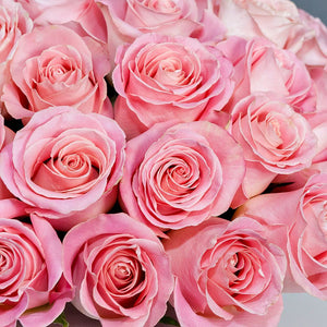 Hat Box of Classic Pink Roses