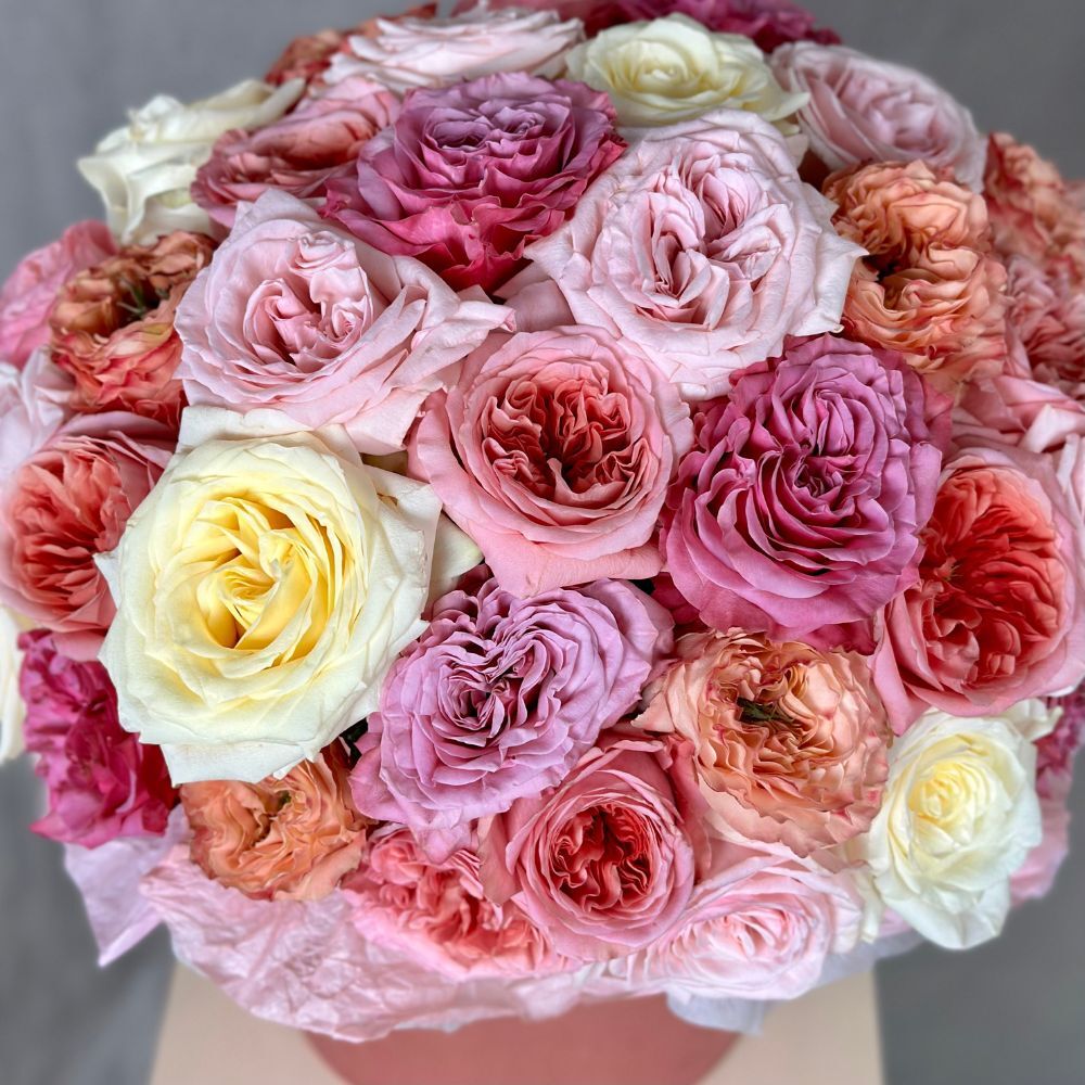 Hat Box of 50 Garden Roses