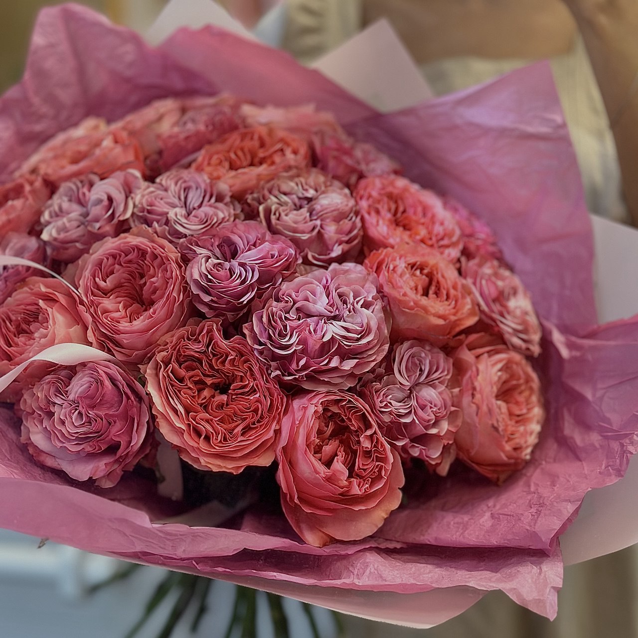 2 Dozen Pink Garden Roses Mix 2