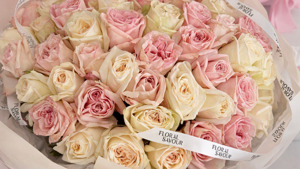 50 Garden Roses White&Pink Ohara