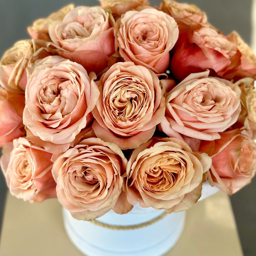 Hat Box of Peach Garden Roses