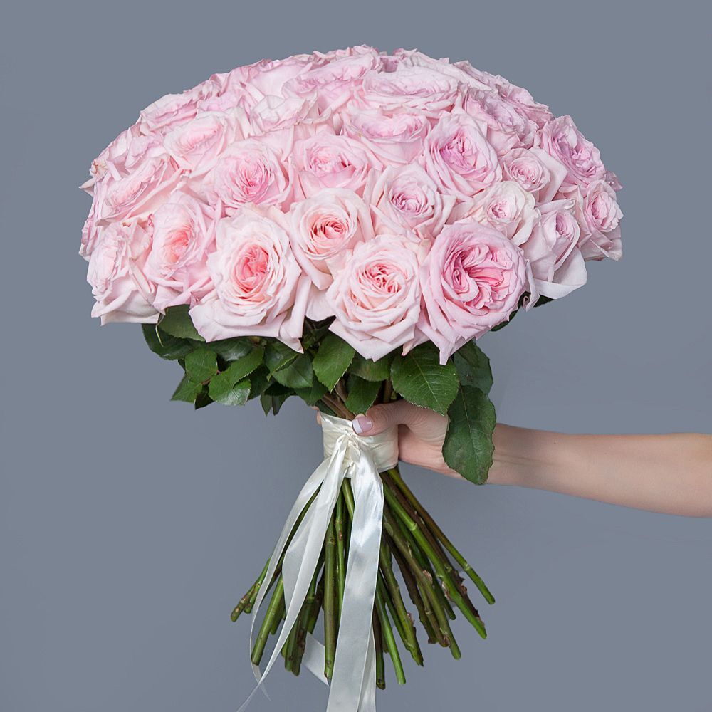 50 Garden Roses Pink Ohara