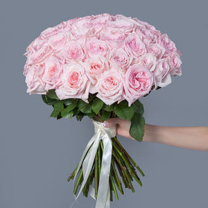 50 Garden Roses Pink Ohara