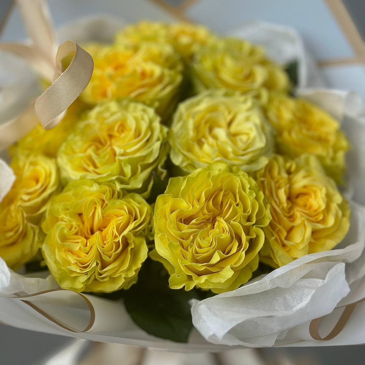 Dozen Yellow Roses