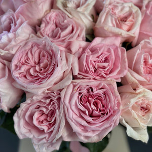 2 Dozen Garden Roses Pink Ohara