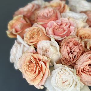 2 Dozen Garden Roses Nude Mix