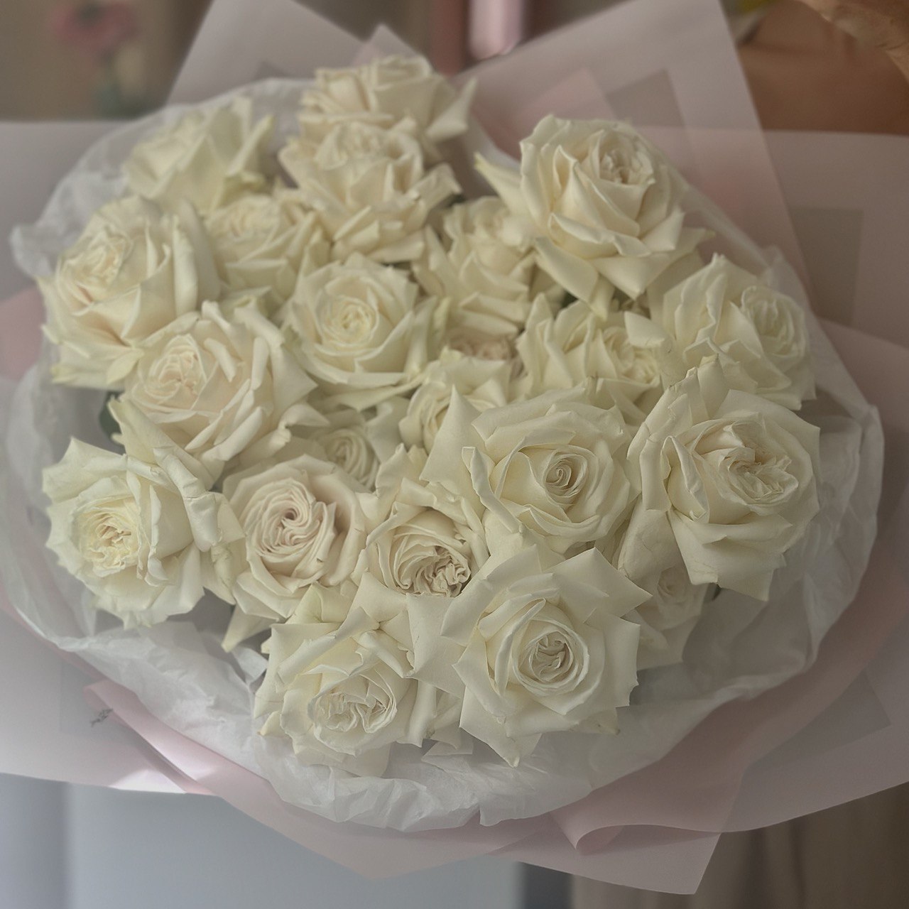White French Roses