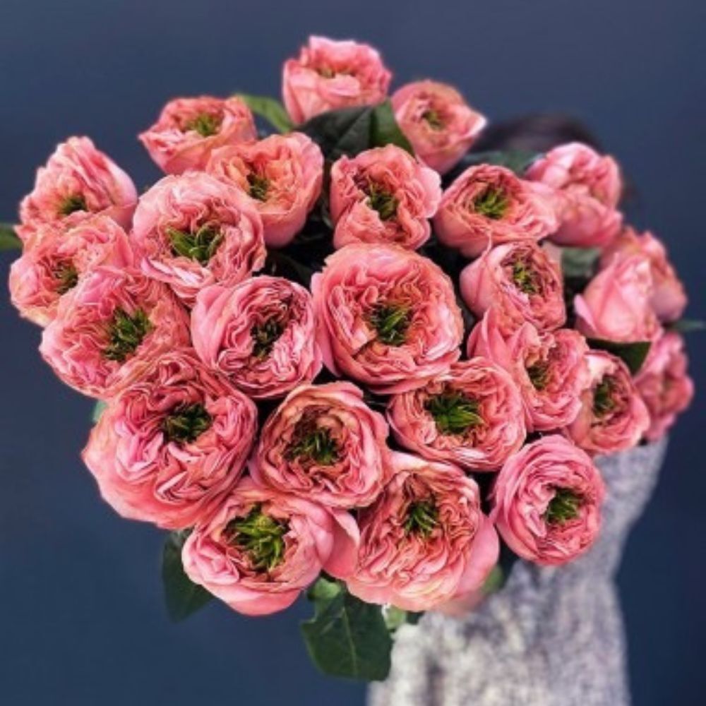 Garden Roses Mandarin