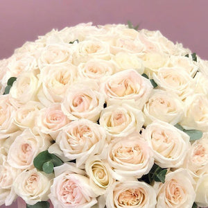 Large Box of White Ohara Roses