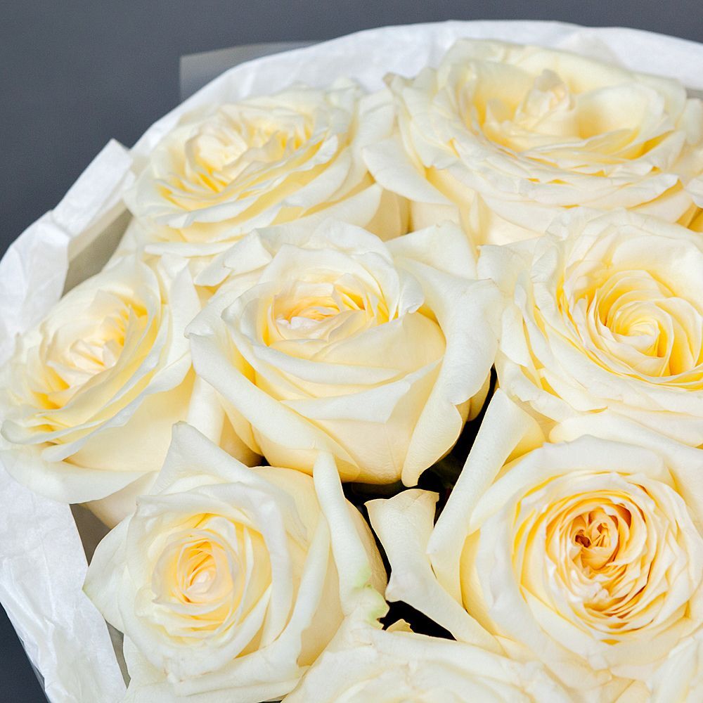Dozen Garden Roses White Ohara