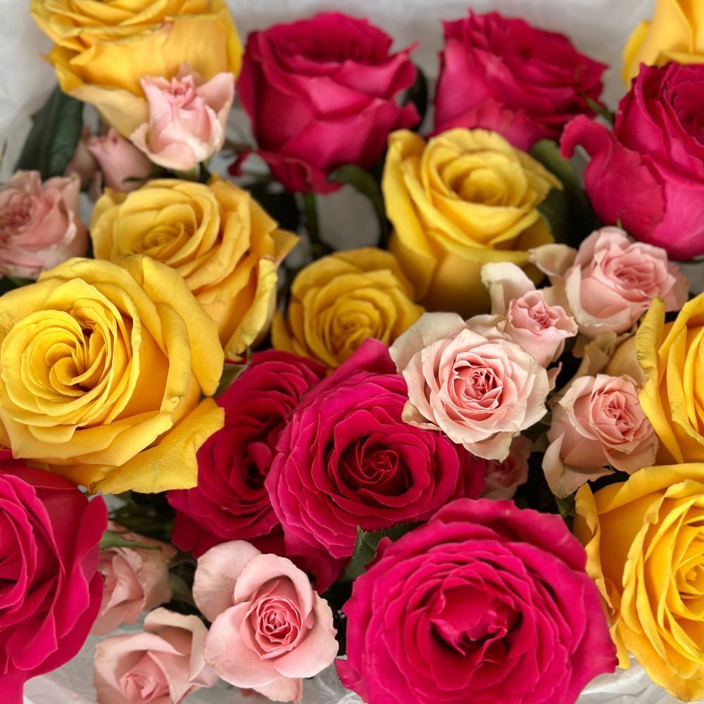 Duo Bouquet of Classic Roses&Spray Roses