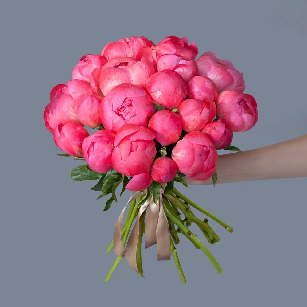 2 Dozen Coral Peonies