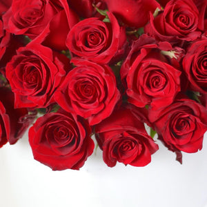 Hat box of Red Classic Roses