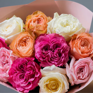 Dozen Garden Roses Vivid Mix