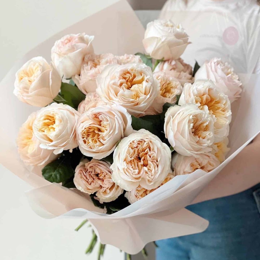 Ivory Garden Roses