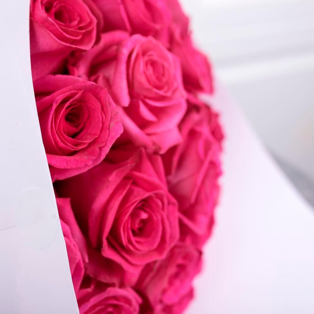 2 Dozen Hot Pink Roses