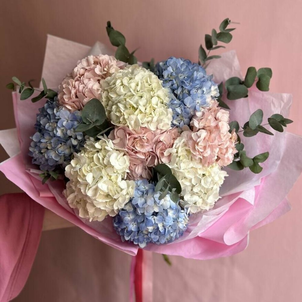 Hydrangea Mix