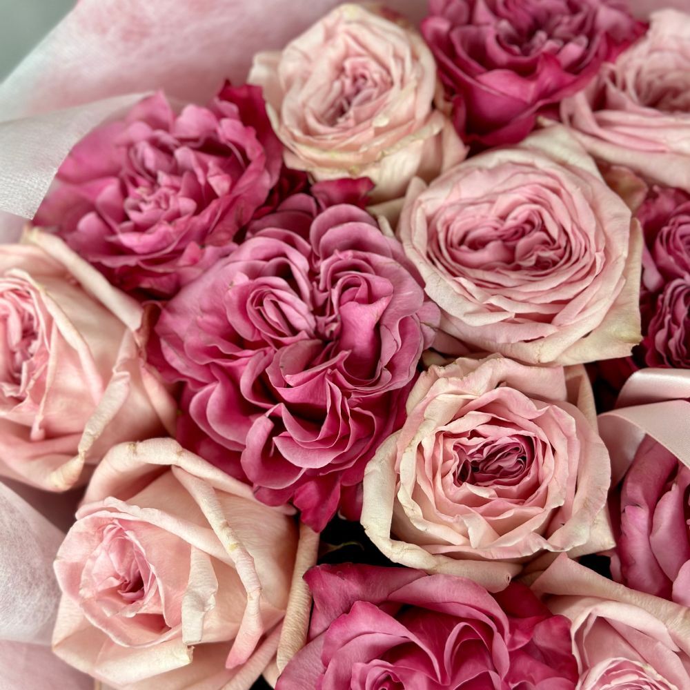 Dozen Pink Garden Roses Mix
