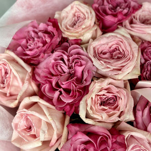 Dozen Pink Garden Roses Mix