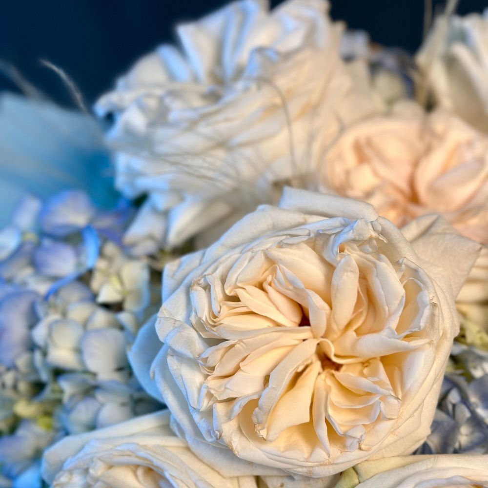 Duo Bouquet of Roses White Ohara&Hydrangea
