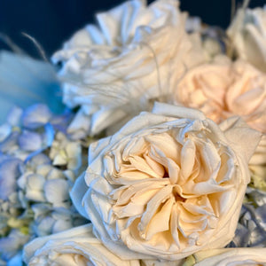 Duo Bouquet of Roses White Ohara&Hydrangea