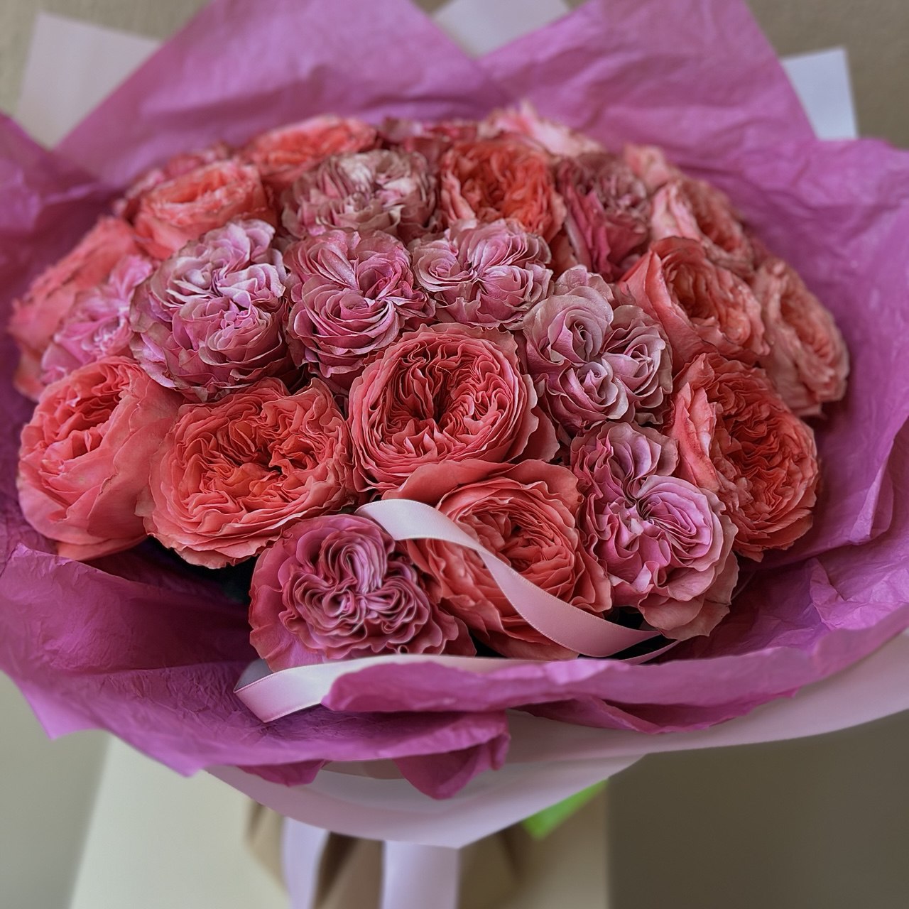 2 Dozen Pink Garden Roses Mix 2