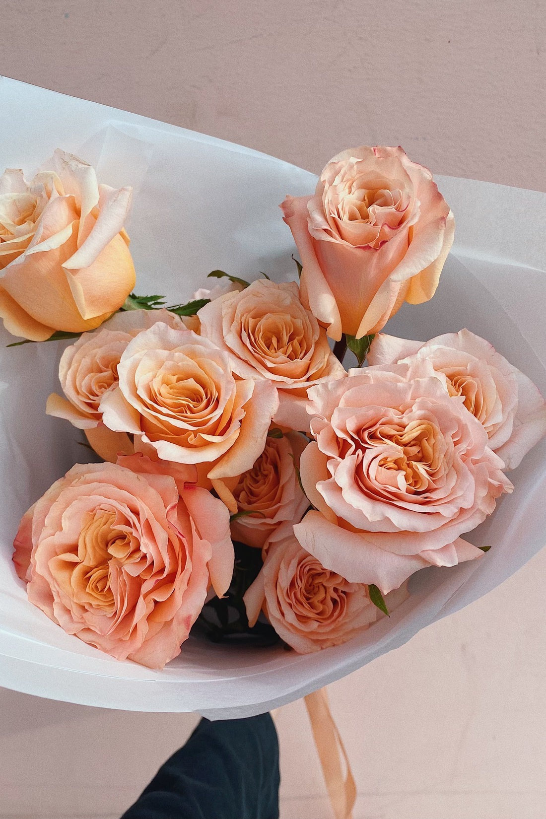 Dozen Peach Garden Roses