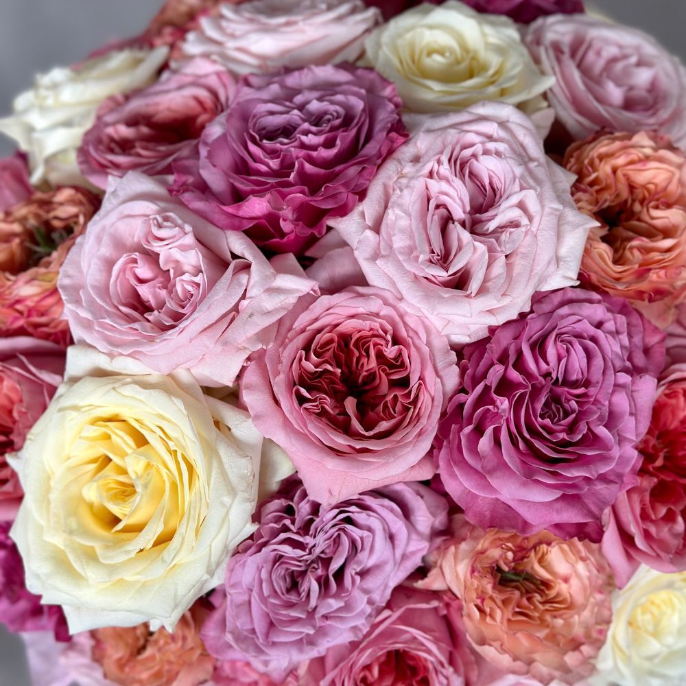 Hat Box of 50 Garden Roses