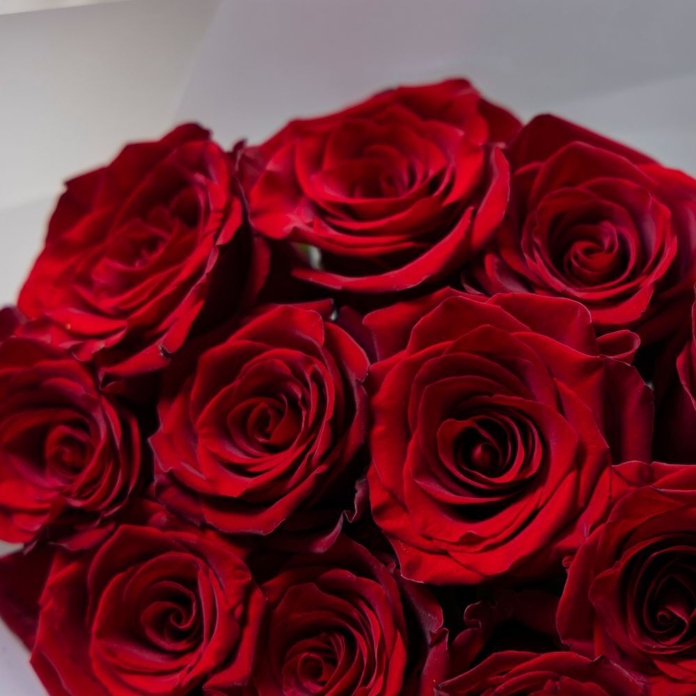 Dozen Classic Red Roses
