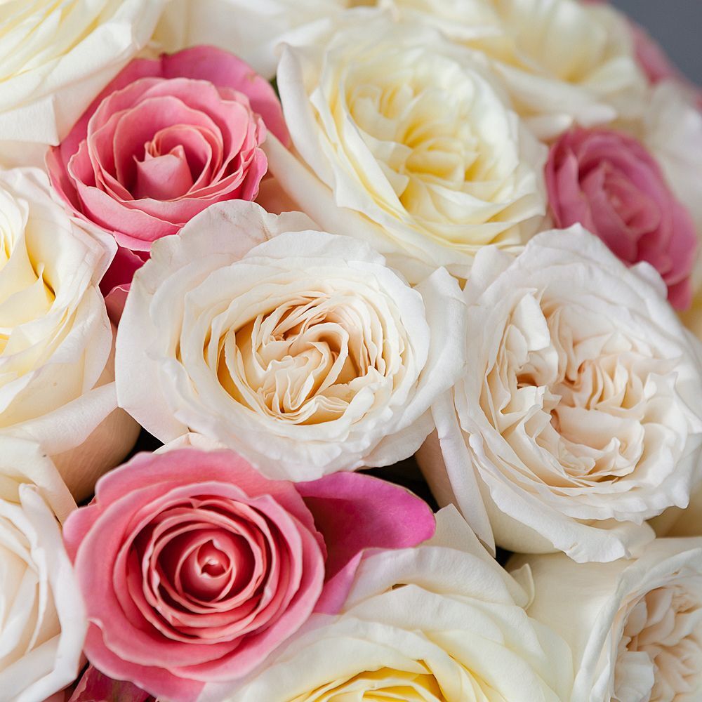 50 Roses White-Pink Mix
