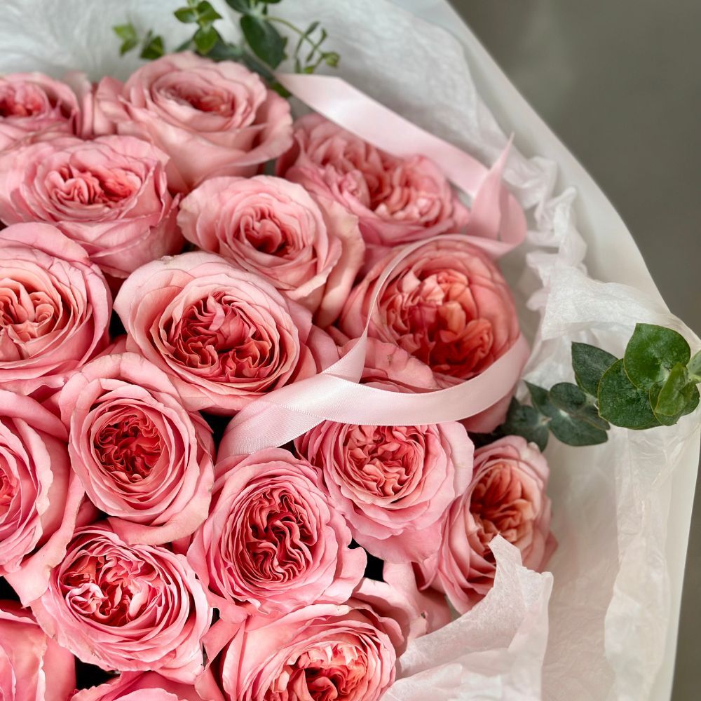 2 Dozen Pink Garden Roses