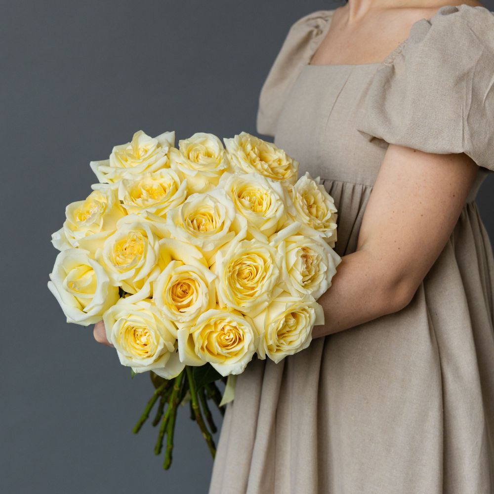 Dozen Cream Garden Roses