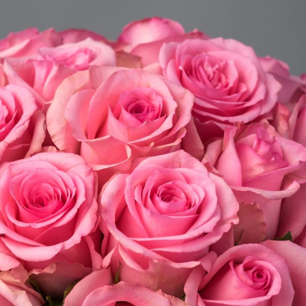 Hat Box of Classic Pink Roses