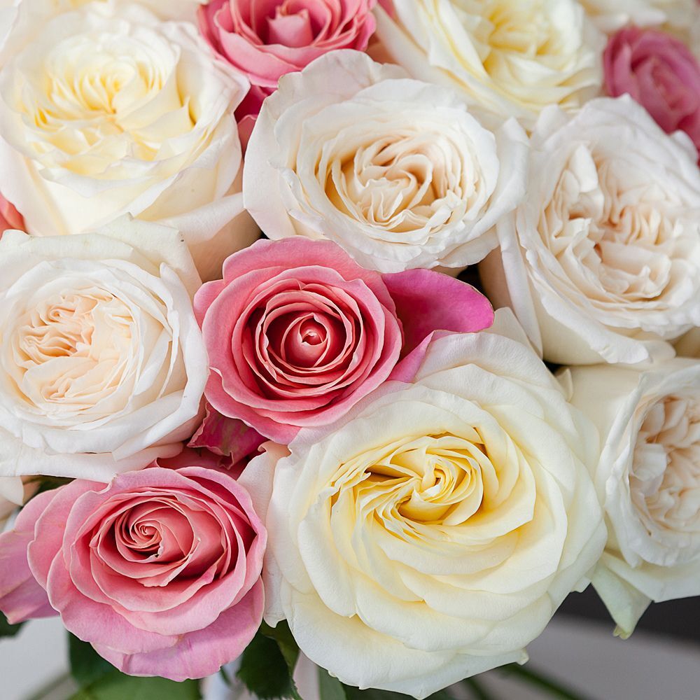 50 Roses White-Pink Mix