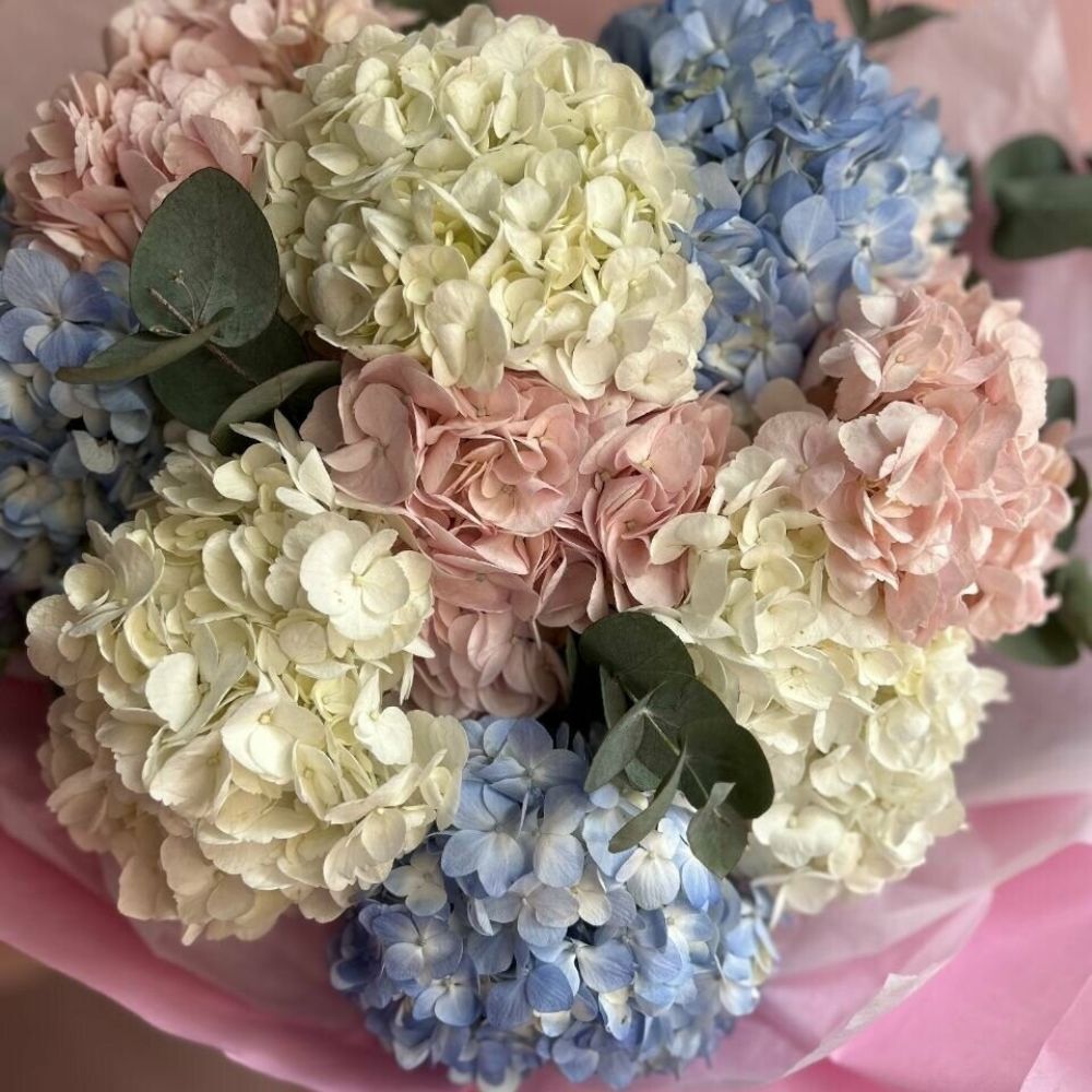 Hydrangea Mix
