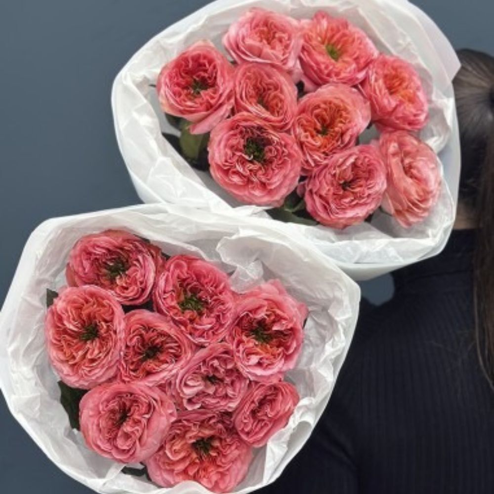 Garden Roses Mandarin