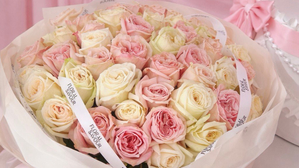 50 Garden Roses White&Pink Ohara