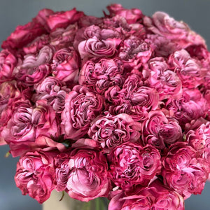 50 Garden Roses Country Blues