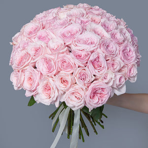 50 Garden Roses Pink Ohara