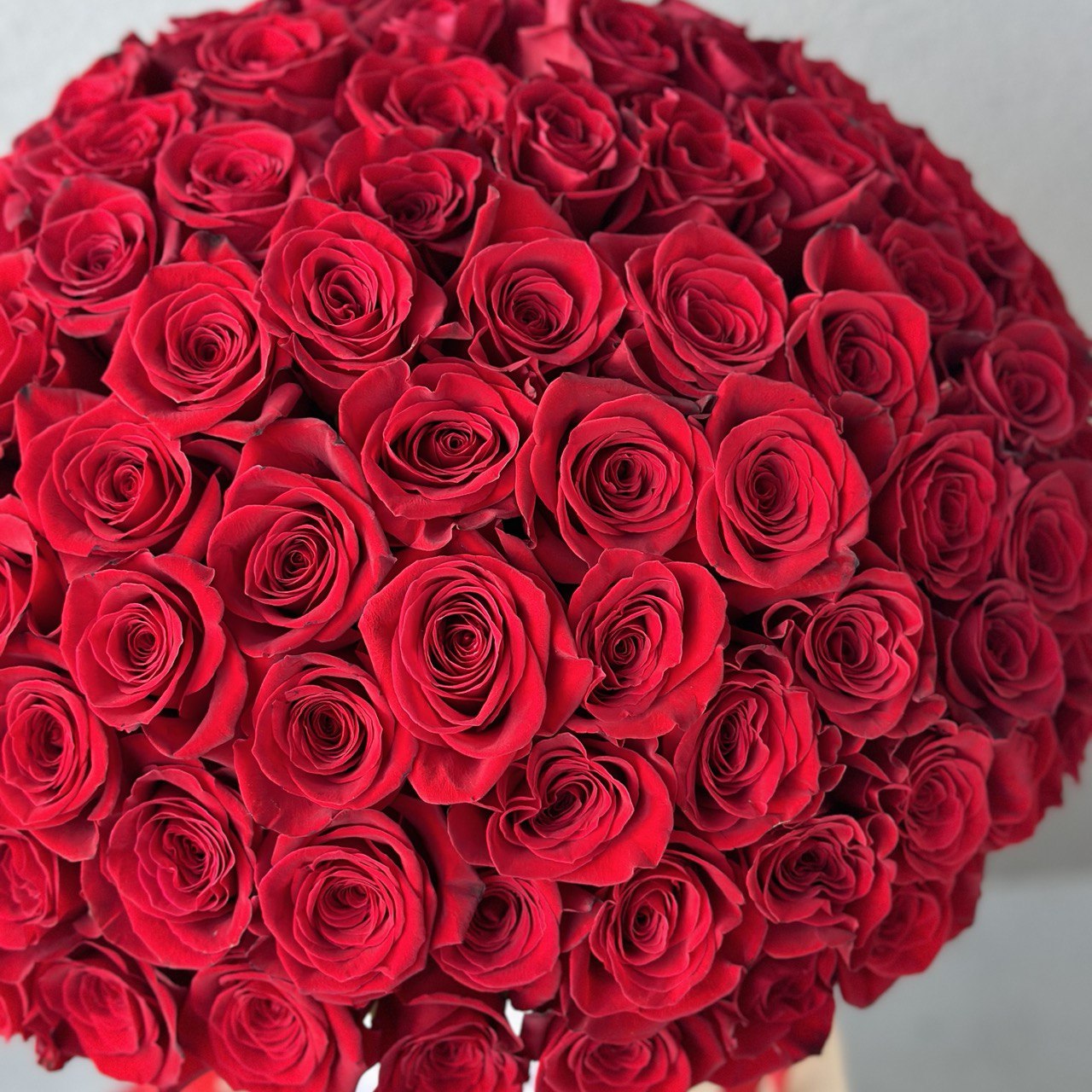 100 Red Roses In A Box