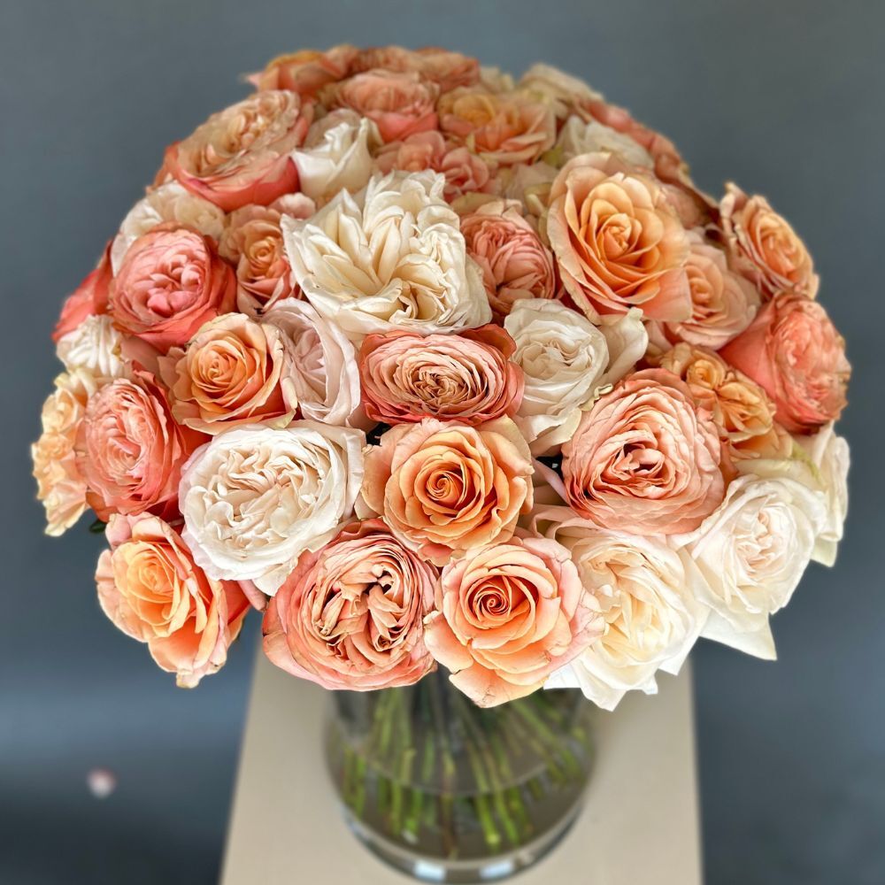 50 Garden Roses Nude Mix