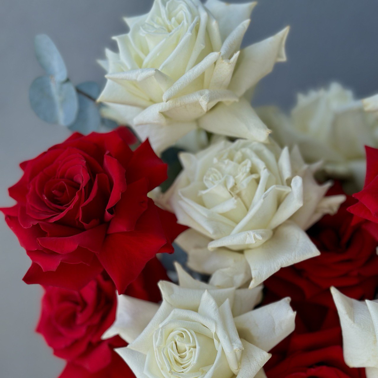 Hat Box of French Roses