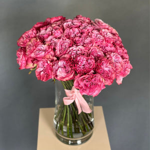 50 Garden Roses Country Blues