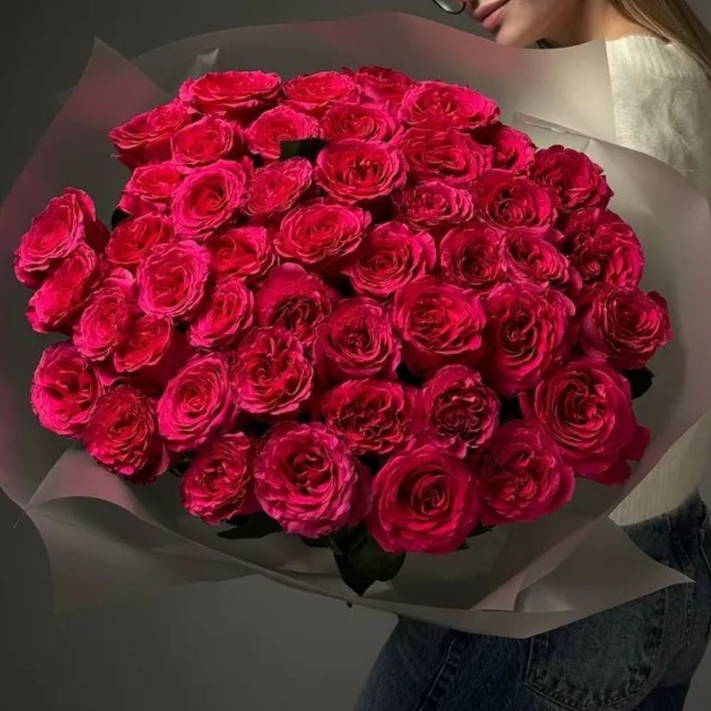 50 Hot Pink Roses