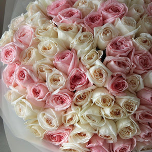 100 Garden Roses Ohara Mix