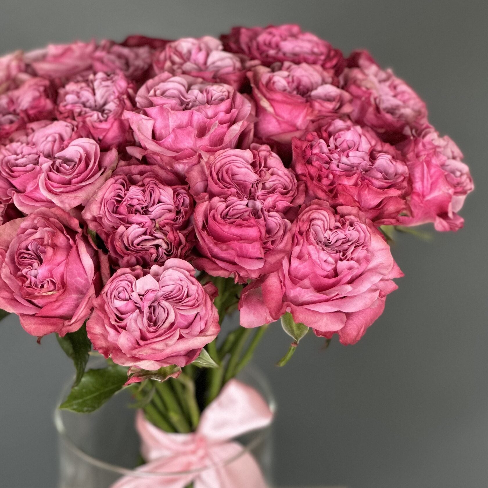 2 Dozen Garden Roses Country Blues