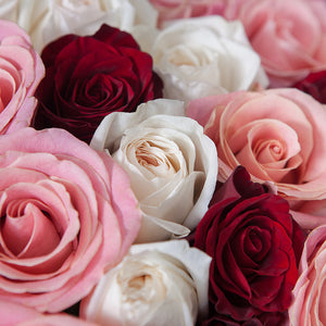 50 Roses Red-Pink Mix