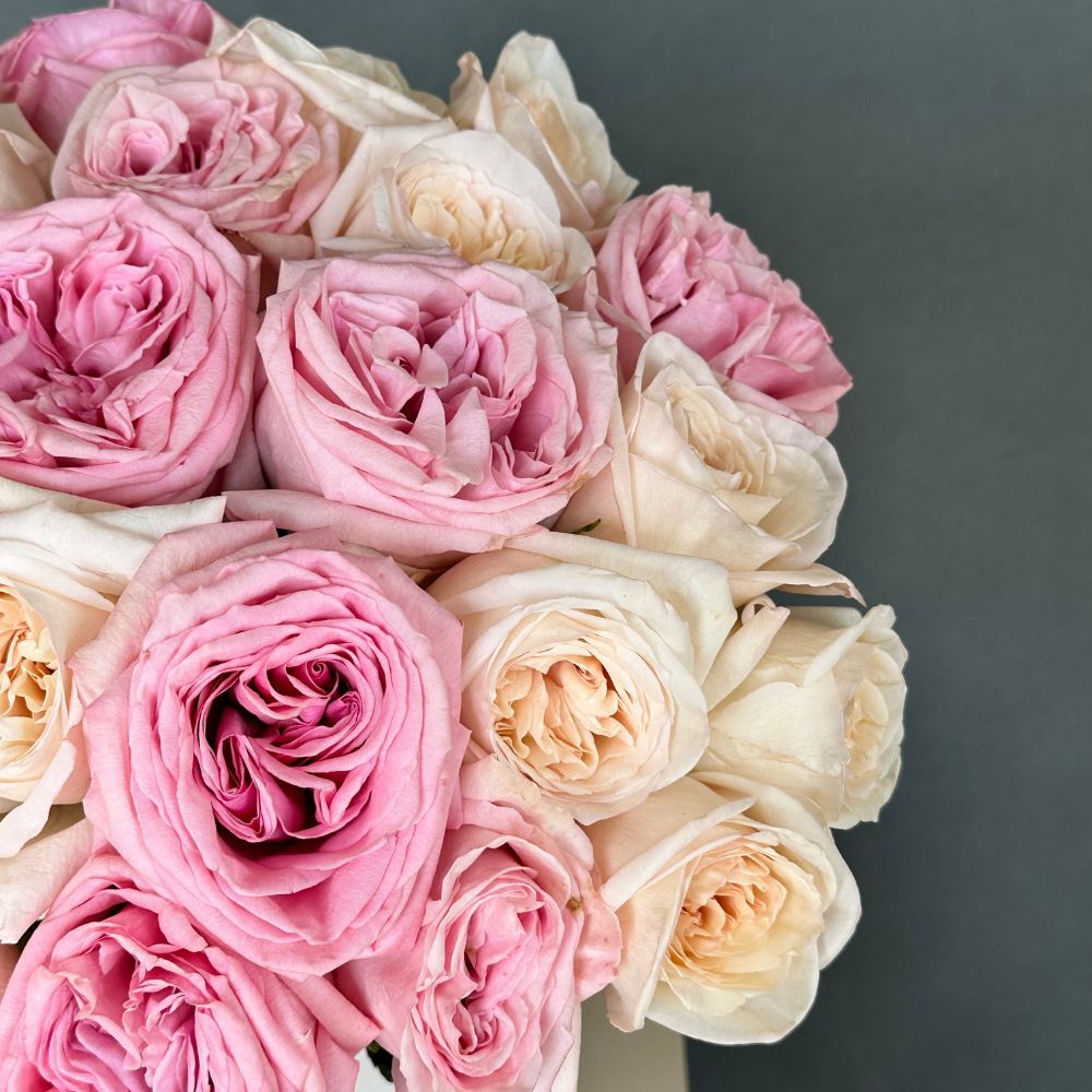 2 Dozen Garden Roses Ohara Mix