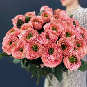 Garden Roses Mandarin